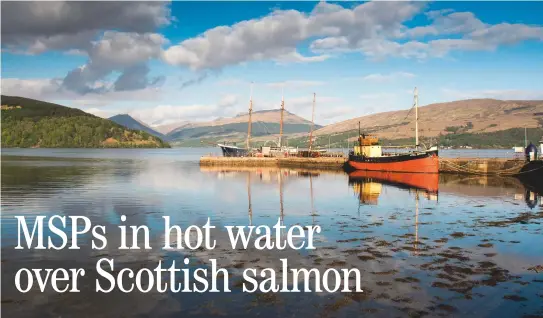  ??  ?? A concentrat­ion of salmon farms in Loch Fyne is among many in Scotland suffering from a sea-lice infestatio­n, it has been revealed