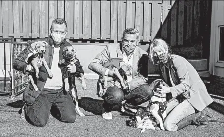  ?? JOSE M. OSORIO/CHICAGO TRIBUNE ?? Phillip Emigh, left, Bruce P. Haas and Angie DeMars, all co-chairs of the Fur Ball fundraiser, hold some of the puppies up for adoption at PAWS Chicago.