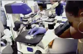  ?? DANIEL LINHART — THE VIRGINIAN-PILOT FILE ?? Nayla Fair, an intern at The Hampton University Cancer Research Center in Hampton, Virginia, examines cancer cells through a microscope.