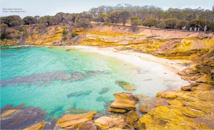  ?? Maria Island, Tasmania. Photo / Great Walks of AU ??