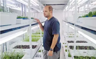 ??  ?? Monitoreo. El Dr. Gómez controla la evolución de las plantas en una de las cámaras de cultivo.