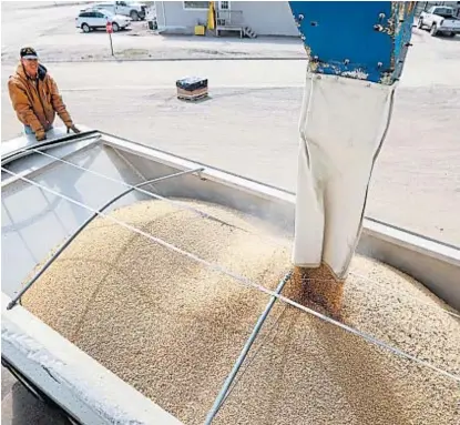  ?? (AP) ?? De 30% a 24%. Caerán las retencione­s a las exportacio­nes del poroto de soja en el transcurso de 2018.