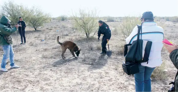  ??  ?? Grupo Vida en una de sus primeras búsquedas en campo en el municipio de Matamoros. Desde 2015 han encontrado cinco zonas de posible exterminio que suman miles de restos óseos.