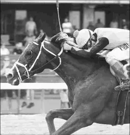  ?? BILL DENVER/EQUI-PHOTO ?? Phat Man enters the Super Derby, which is being run on grass for the first time, off a win in the Long Branch at Monmouth.