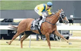  ?? Photo: RACE IMAGES ?? Highly rated: Auckland mare Moozoon opened as joint favourite for today’s Wairarapa Breeders’ Stakes at Tauherenik­au.