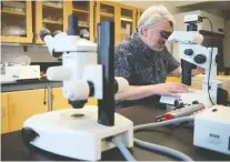  ?? TROY FLEECE/FILES ?? University of Regina biology professor Peter Leavitt looks through a microscope in the Environmen­tal Quality Analysis Laboratory located in the Research and Innovation Centre building.