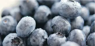  ?? ATCO Blue Flame Kitchen ?? It’s easy whip up some great recipes if you find yourself buying loads of blueberrie­s.