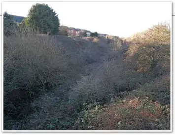  ?? GRAEME PICKERING. ?? The ghostly remains of what was until 1991 a diversiona­ry route for the East Coast Main Line. Much of the Leamside line has since been lifted and those sections which remain are gradually being consumed by nature. This is the scene at Wardley in Gateshead, looking in the direction of the Pelaw and the junction with the Durham Coast route.