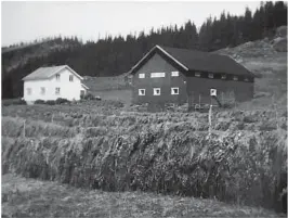  ??  ?? NYE HUS: Det blei raskt bygd opp nye hus, her eit glimt frå slåtten i 1963.