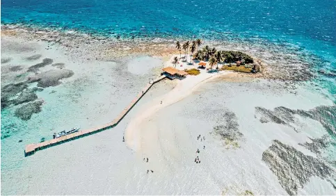  ?? ?? Reef counsellin­g: Belize, where the trio’s spirit of adventure grew
Annabel, centre, with Isabella and Mungo at Lamanai