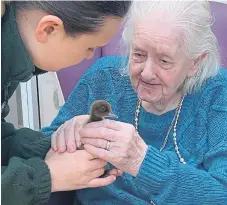  ?? ?? The chicks delighted the residents