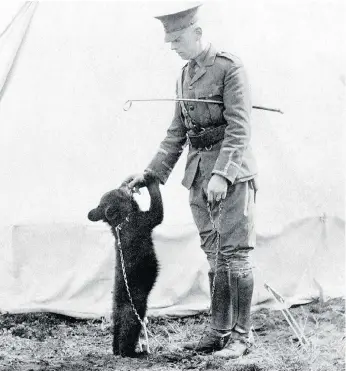  ??  ?? Winnie the bear cub was adopted by Harry Colebourn, a veterinari­an serving in the Canadian Army Veterinary Corps.