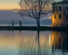  ?? ?? Punti di vista
Quattro scatti di Punta San Vigilio oggi. Da quando la proprietà fu acquisita dalla famiglia Guarienti la vocazione fu principalm­ente la coltivazio­ne dell’olivo e la locanda. Oggi la svolta al turismo di lusso