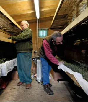  ??  ?? Heaters in the steel drying room reduce the moisture content of the leaves to two to three per cent.