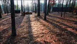  ?? 1999 AJC FILE ?? A father and son died at this campsite at the Bert Adams Scout Camp near Covington on March 28, 1999, from carbon dioxide poisoning in their tent.