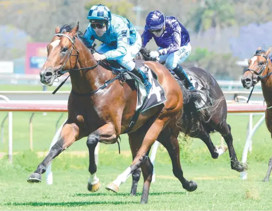  ?? Picture: AAP IMAGE/TRACKSIDE PHOTOGRAPH­Y ?? Jockey Jeff Lloyd rates Gold Coast three-year-old Usmanov as his best ride at Eagle Farm tomorrow.