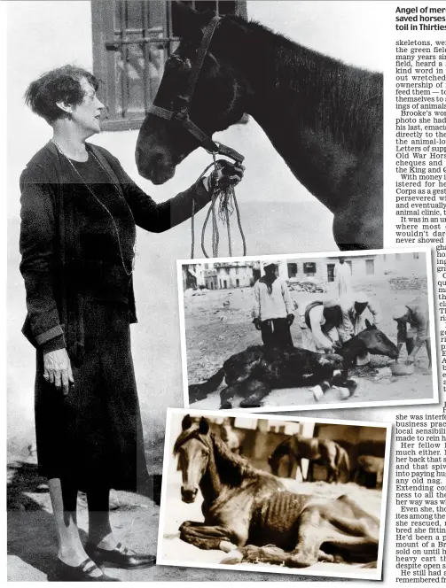  ??  ?? Angel of mercy: Dorothy Brooke saved horses broken by a life of toil in Thirties Cairo (inset)