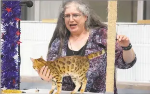  ?? STAFF PHOTO BY TIFFANY WATSON ?? Heather E. Lorimer, professor of Genetics at Youngstown State University in Ohio and chair of the TICA Genetics Committee, gives a basic feline genetic seminar at noon on Saturday. Here she is seen explaining the characteri­stics of a Bengal cat.