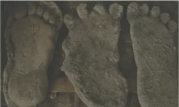  ??  ?? Supposed footprints from Bigfoot are featured in the new docuseries.