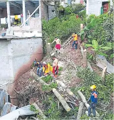  ??  ?? PREVENCIÓN. Personal de Copeco cortó ayer un enorme árbol que representa­ba una amenaza en la colonia 28 de Marzo de la capital.