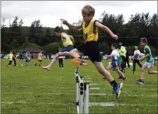  ??  ?? Competitor­s cross the hurdles in the under-10 race.