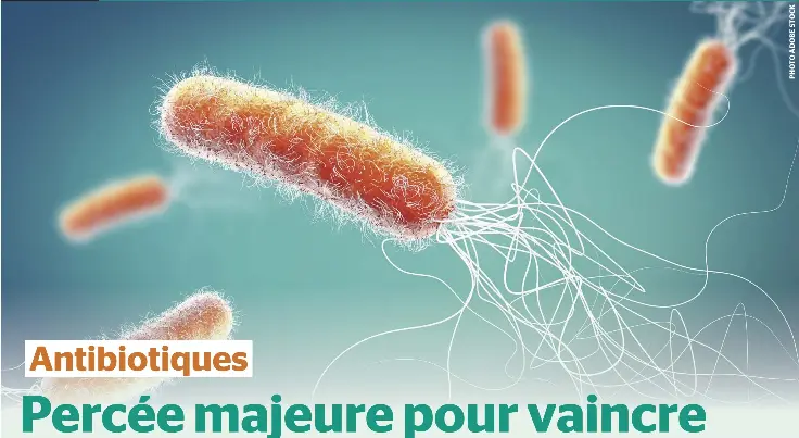 Percée majeure pour vaincre la résistance bactérienn­e - PressReader