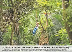  ??  ?? acción y adrenalina en el canopy De Mountain adventure/ adrenaline and action in Mountain adventure´s canopy.