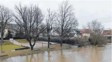  ?? FOTO: BURGHART ?? Noch schwimmen die Enten nicht im Bürgerpark an der Donaubrück­e, doch viel fehlt nicht mehr, bis das Wasser der Donau auch hier übertritt.