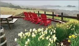  ?? PHOTO BY JACKIE BURRELL ?? In fine weather, the patio at Pacific Star Winery is a hot spot, offering spectacula­r views of the Pacific Ocean and headlands.