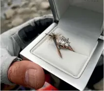  ??  ?? Dry flies and diamonds are a girl’s best friend. The engagement ring Corey Ratner presented to his girlfriend Jordan on the banks of the Karamea River.