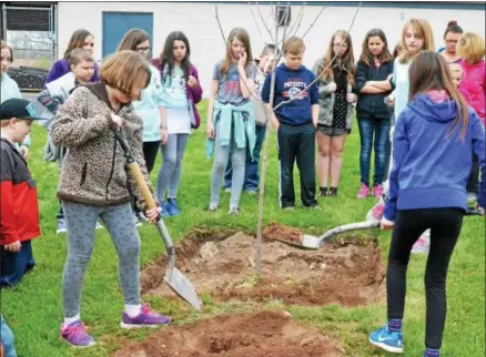  ?? LEAH MCDONALD - ONEIDA DAILY DISPATCH ?? North Broad Elementary fifth grade students plant a tree at Vets Field in Oneida on Tuesday, May 3, 2016.