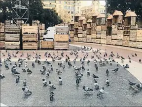  ?? LA VANGUARDIA ?? Las palomas han vuelto a la plaza Catalunya, donde se está instalando la Fira de Nadal –abrirá el viernes– y que luce rodeada de cajas de madera que recuerdan a un enorme palomar