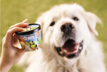  ?? AP PHOTOS ?? LUCRATIVE LICKS: Ben & Jerry’s first foray into pet treats is a line of frozen dog treats — Doggie Desserts — that hit the freezer aisle this month. The company is offering two flavors: pumpkin with cookies and peanut butter with pretzels.