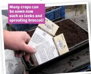  ??  ?? Many crops can be sown now such as leeks and sprouting broccoli