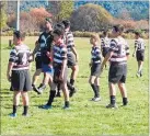  ??  ?? Tongariro Junior Rugby players in action.