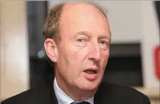  ??  ?? Minister Shane Ross.