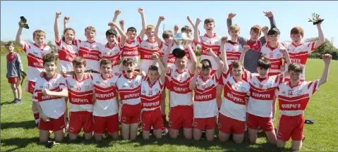  ??  ?? The Ballinastr­agh Gaels boys celebratin­g after Sunday’s hard-earned success.