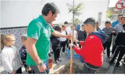  ?? ?? Un estudiante ayuda en las labores de sujeción de uno de los árboles.