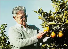  ??  ?? The “Chu orange” gets its name from the orchard owner. — Photo provided to China Daily/ Asia News Network Topseller: