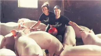  ??  ?? Élisabeth Grenier et Alexandre Landry aiment voir leurs cochons heureux. Il suffit d’une boule de quilles pour que la troupe porcine s’amuse.