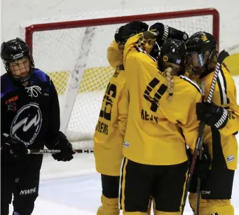  ?? NANCY LANE / HERALD STAFF FILE ?? THEY’RE BACK! The Pride celebrate a power-play goal at Warrior Ice Arena earlier this season.