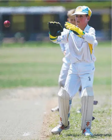  ?? Pictures: STEWART MCLEAN ?? GOOD HANDS: Far North's Rhys Johnston in action at the Queensland Junior Cricket Developmen­t Championsh­ips.