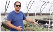  ?? (Special to The Commercial/University of Arkansas at Pine Bluff) ?? Nicholas Romano displays an aquaponics setup. He received a grant from the USDA Agricultur­al Research Service to conduct aquaponic research for two years.