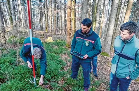  ?? Foto: Manuela Rapp ?? Mathias Burghard, Tobias Vorwieger und Johannes Kutter beim Ortstermin in Höselhurst. Sie demonstrie­ren, wie ein Vegetation­sgutachten in der Praxis erstellt wird.