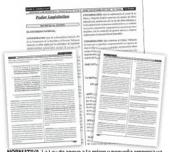  ??  ?? normativa. La Ley de apoyo a la micro y pequeña empresa ya fue publicada en el diario oficial La Gaceta.