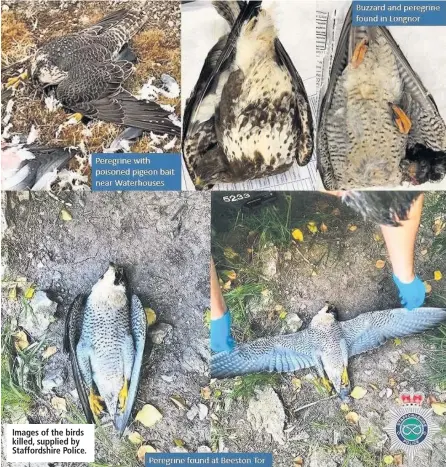  ??  ?? Images of the birds killed, supplied by Staffordsh­ire Police.