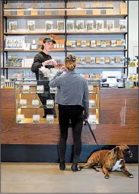  ?? San Diego Union-Tribune/NELVIN C. CEPEDA ?? Sam Veenkant with her dog, Brody, stop earlier this month at Urban Leaf in San Diego. Marijuana is legal for medical as well as recreation­al use in California.