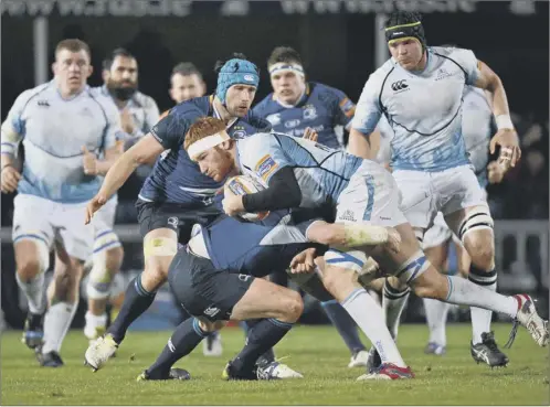  ?? Picture: Matt Browne/sportsfile ?? Glasgow flanker rob harley attempts to make headway past a resolute Leinster rearguard at the rdS