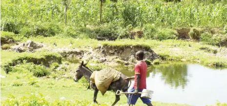  ??  ?? A ditch created due to the illegal sand mining this lead to reduction in farming and loss of agricultur­al product.