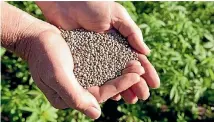  ??  ?? Hemp seeds have a growing global market worth around $1 billion.